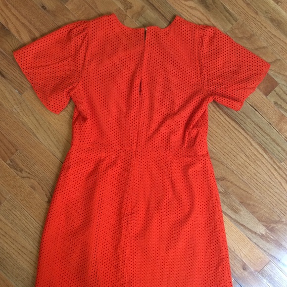 Orange Eyelet JCrew Dress - Picture 5 of 8